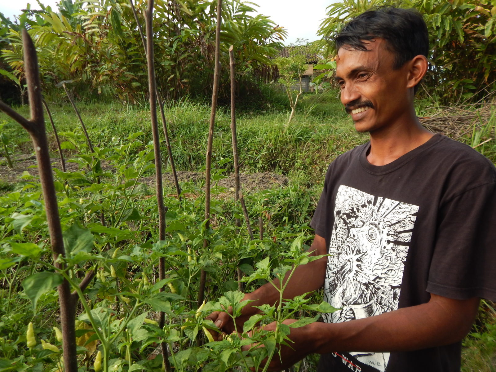 Biogärtner mit Leib und Seele: Budi zwischen seinen Beeten © Anett Keller