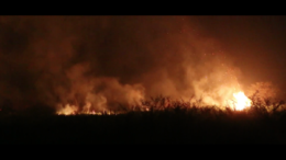 Für Palmölplantagen werden Regenwälder abgefackelt (Filmausschnitt Asimetris) © Watchdoc