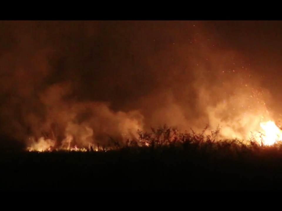Für Palmölplantagen werden Regenwälder abgefackelt (Filmausschnitt Asimetris) © Watchdoc