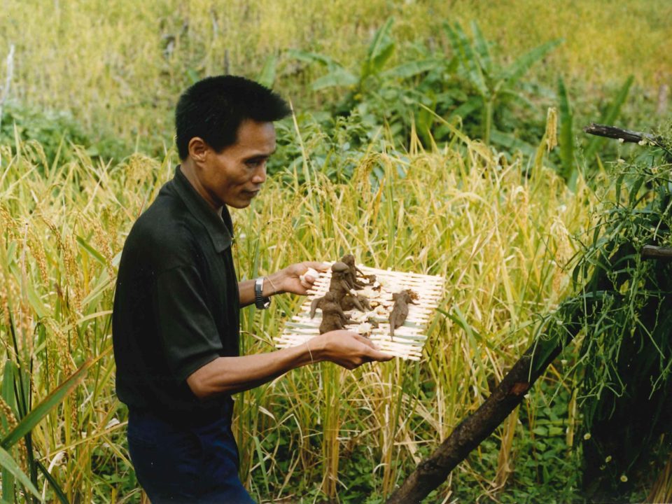 Feldgeister in Laos © Guido Sprenger