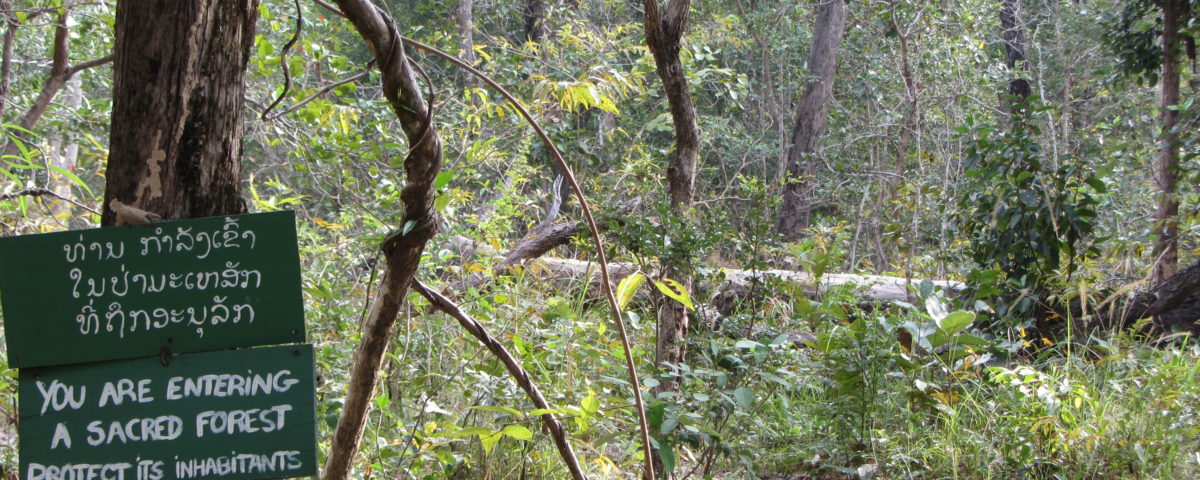 Eingang zum Heiligen Wald Dong Sakee © Michael Kleinod