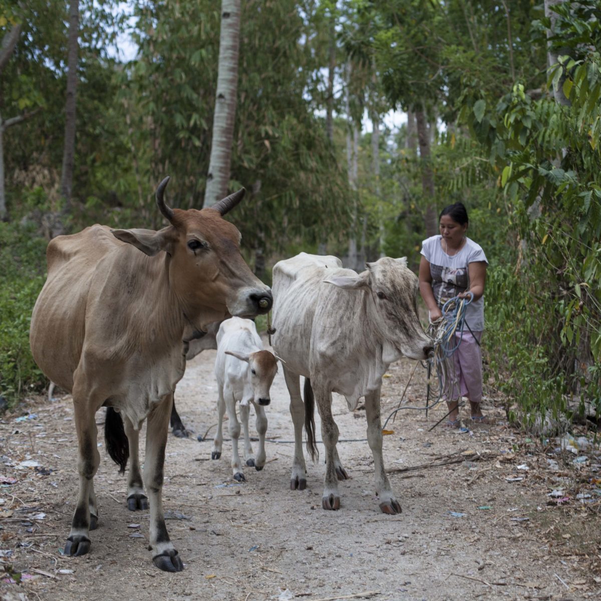 Gut 11 Millionen Erwerbspersonen sind in der Land- und Forstwirtschaft tätig © Lilli Breininger