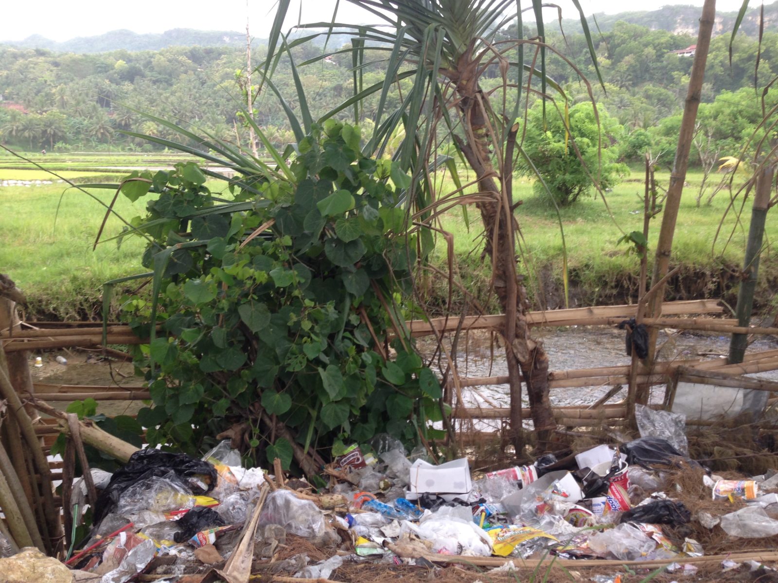 Abfall vor den Reisfeldern © Lena Keller-Bischoff