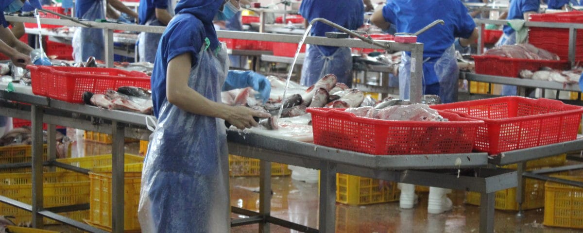 Arbeiter*innen in einer Fischfabrik im Süden Vietnams © Marina Kamberovic, 2018