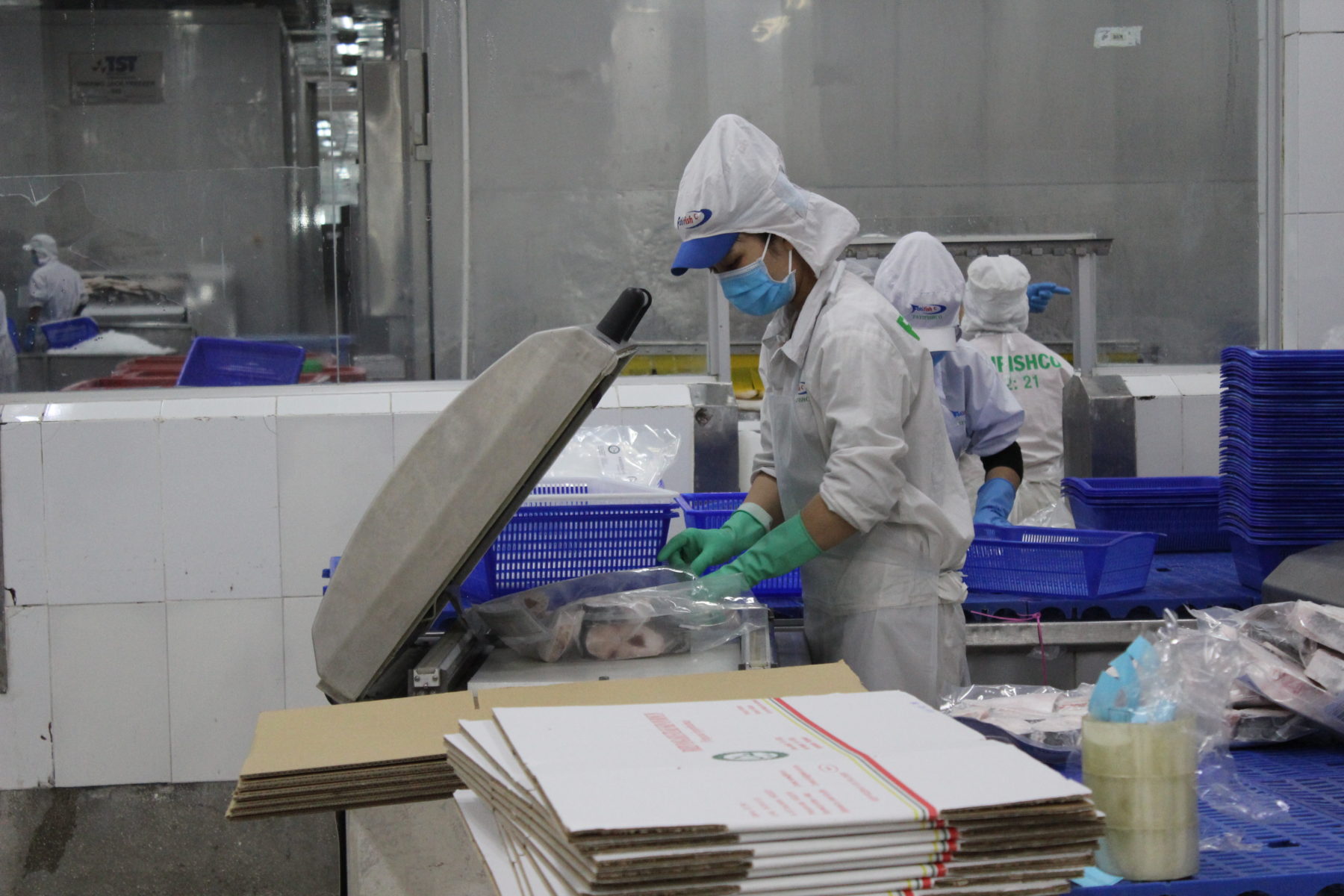 Die agroindustrielle Produktion wie z.B. hier die Aquakultur, hat ein neues Proletariat in Vietnam entstehen lassen © Marina Kamberovic, 2018