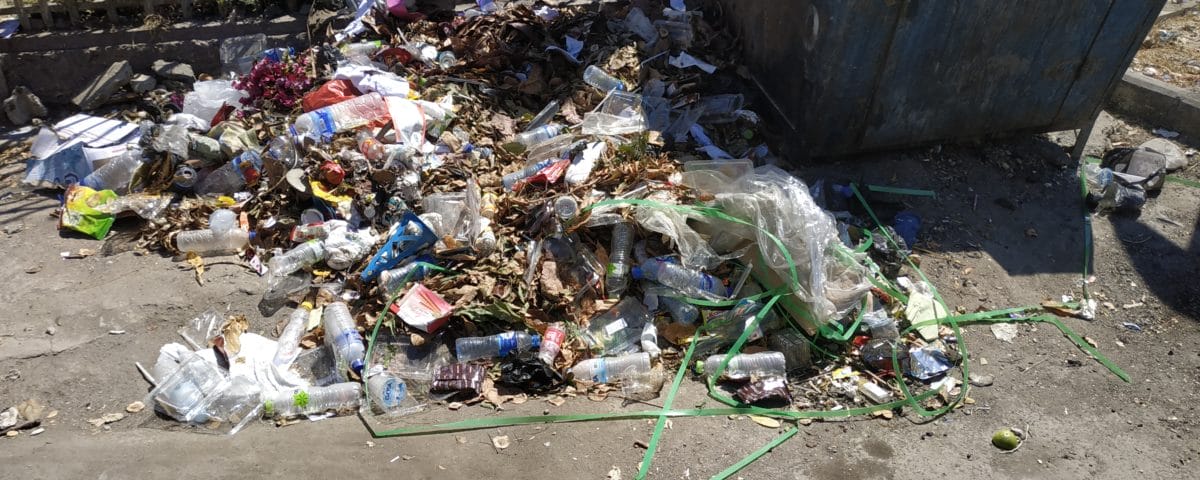 Einweg-Plastik soll verboten werden © Philip Ray