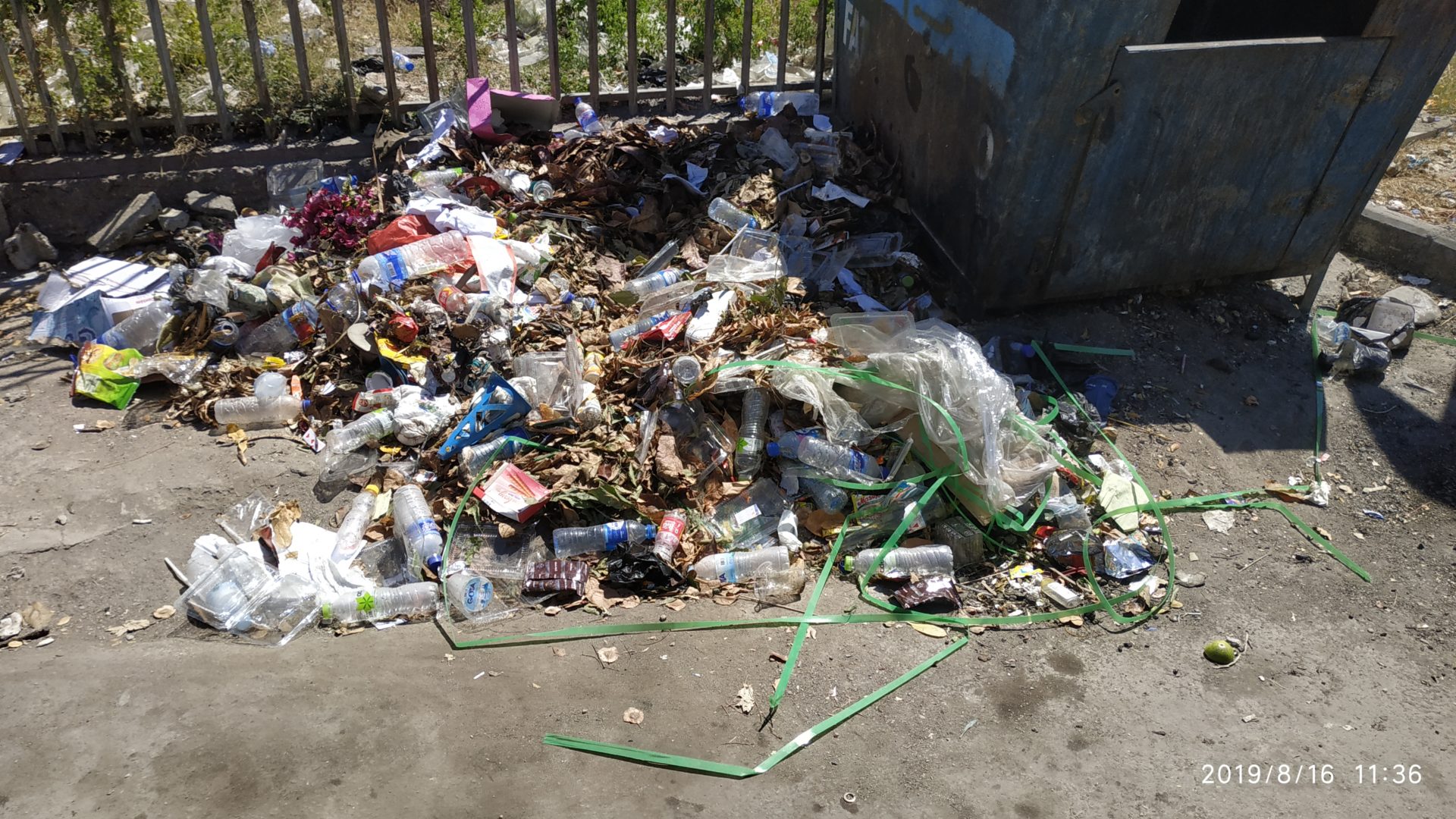 Einweg-Plastik soll verboten werden © Philip Ray