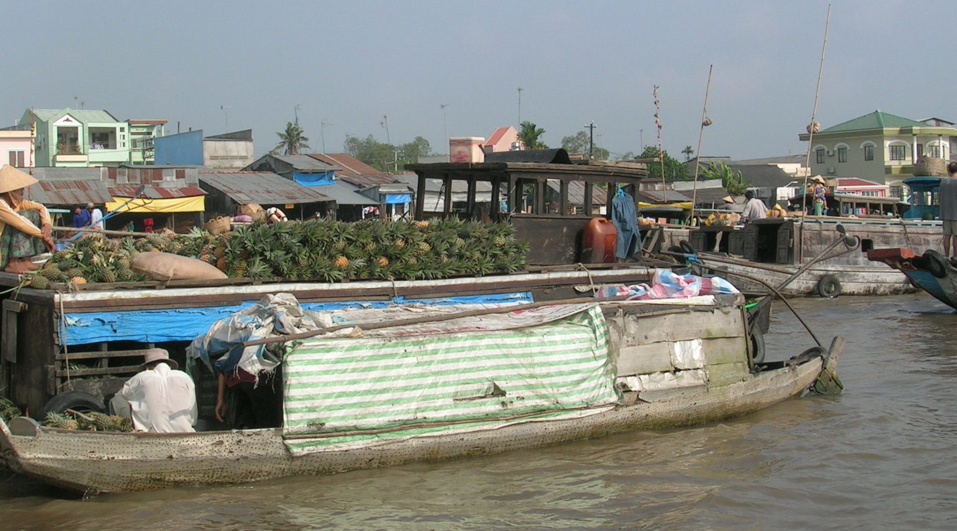 Vietnam versinkendes Mekondelta