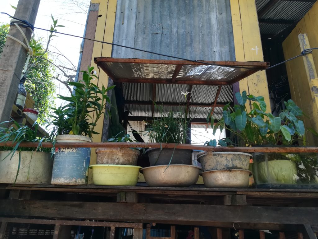 Kambodscha Klimaschutz