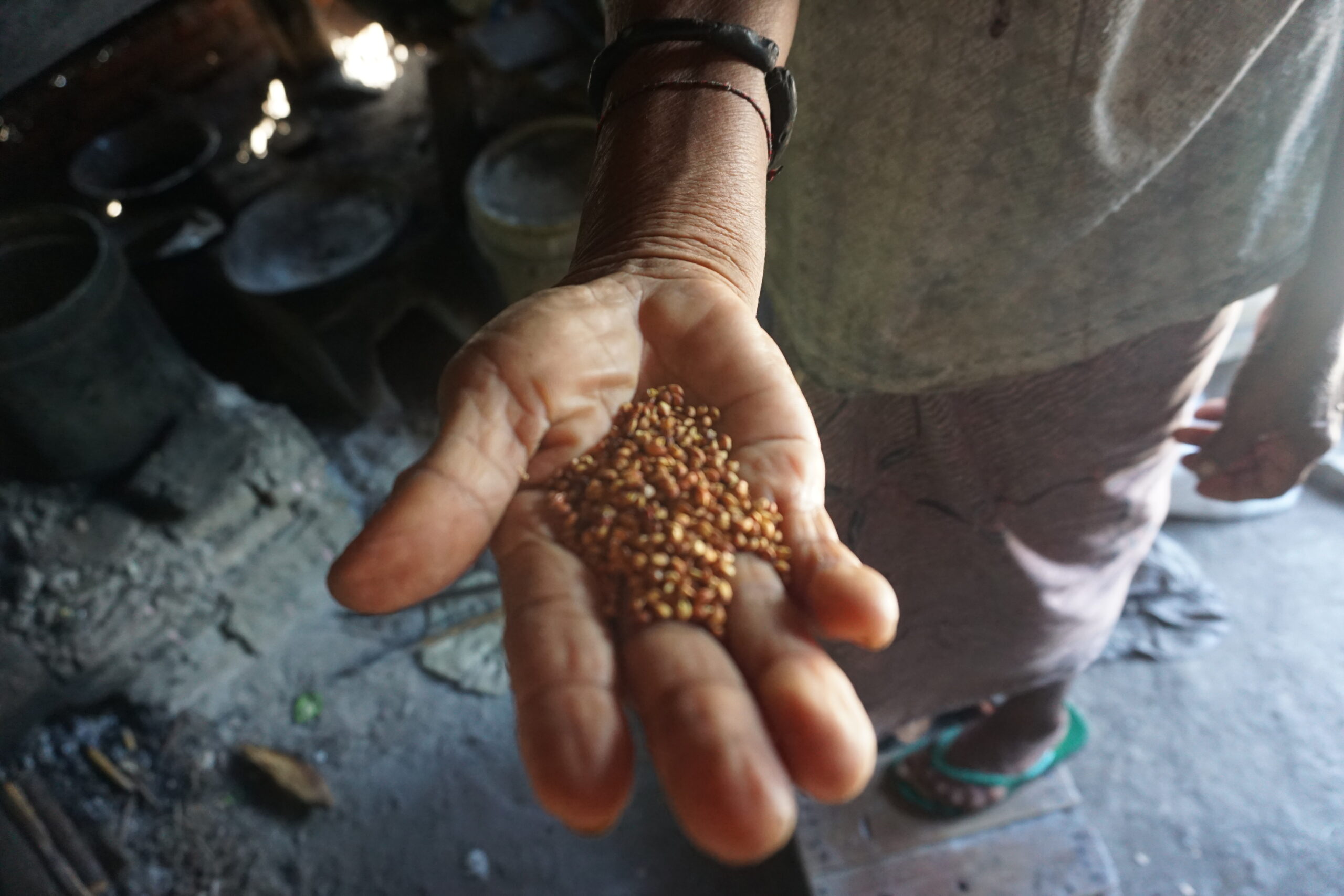 Indonesien Klimawandel Fachjargon