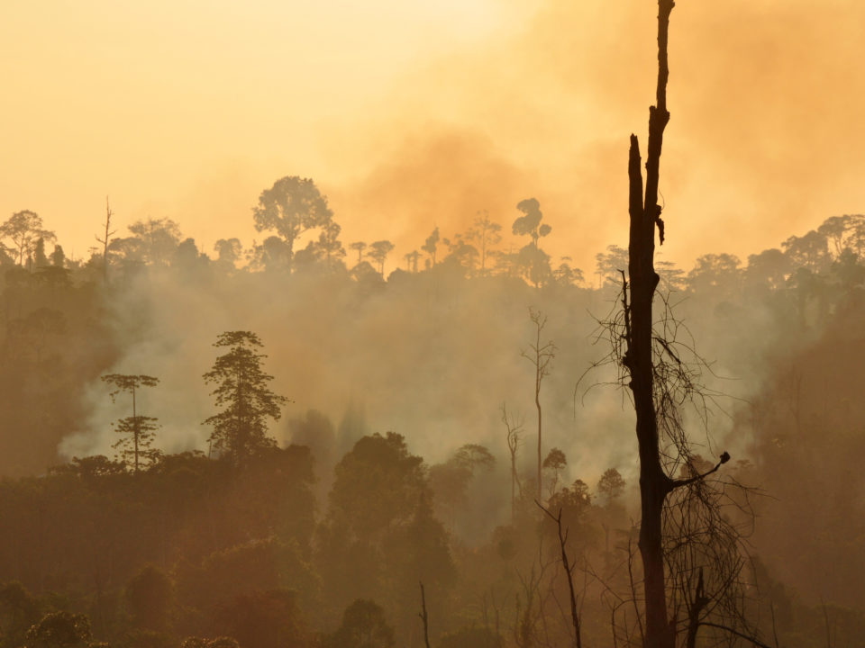 Südostasien Interviews Klimawandel