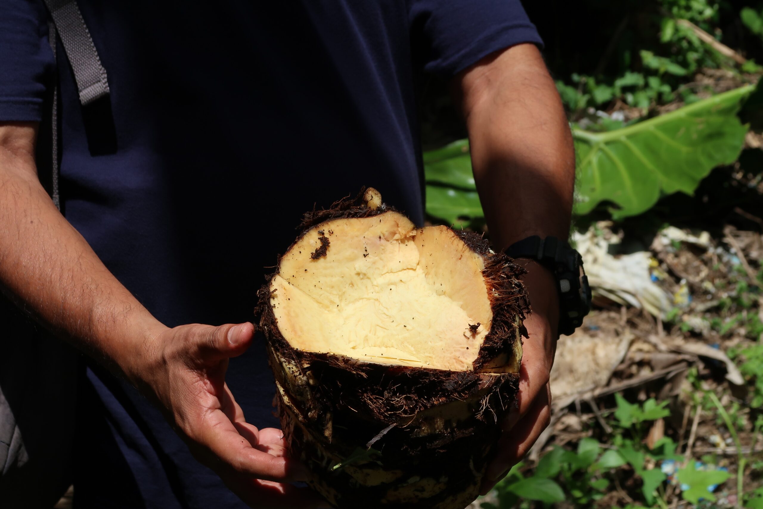 Südostasien Klimawandel SOE