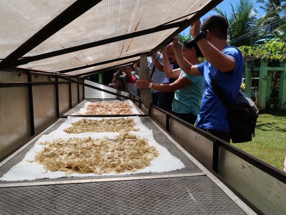 Südostasien Klimawandel Folgen