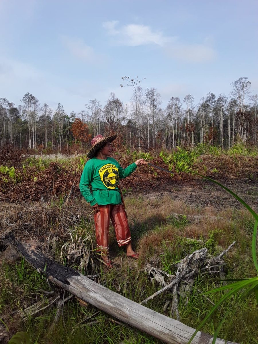 Indigene Frauen Frauenrechte