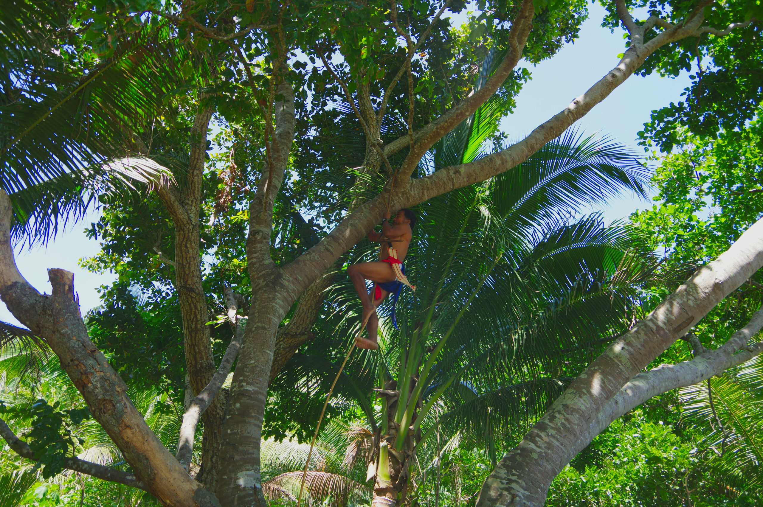 Philippinen Indigene Gesundheit