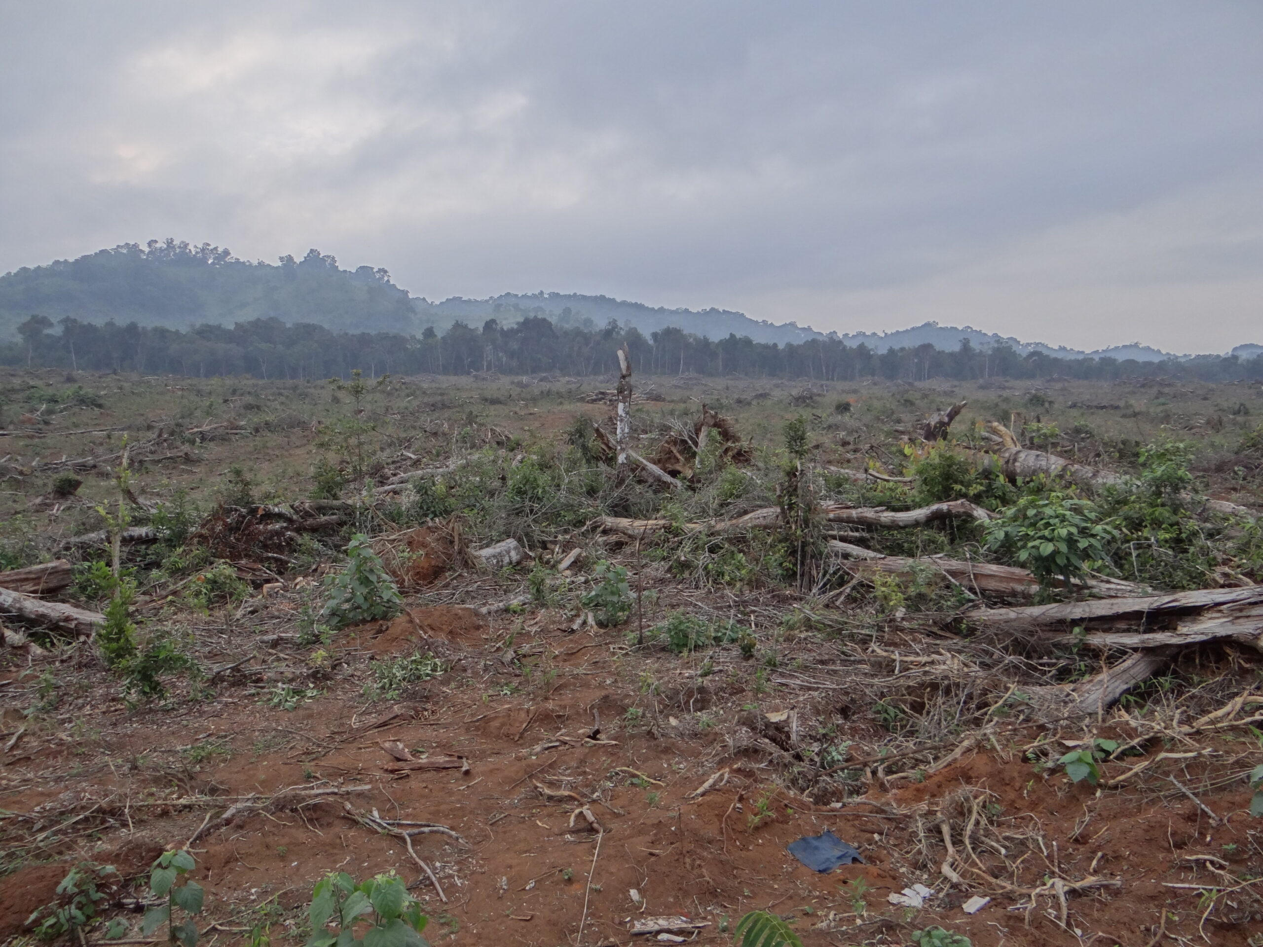 Laos Waldschutz Klimaziel