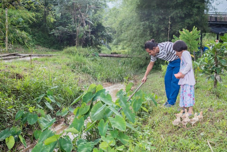 Malaysia Selbstversorgung Permakultur