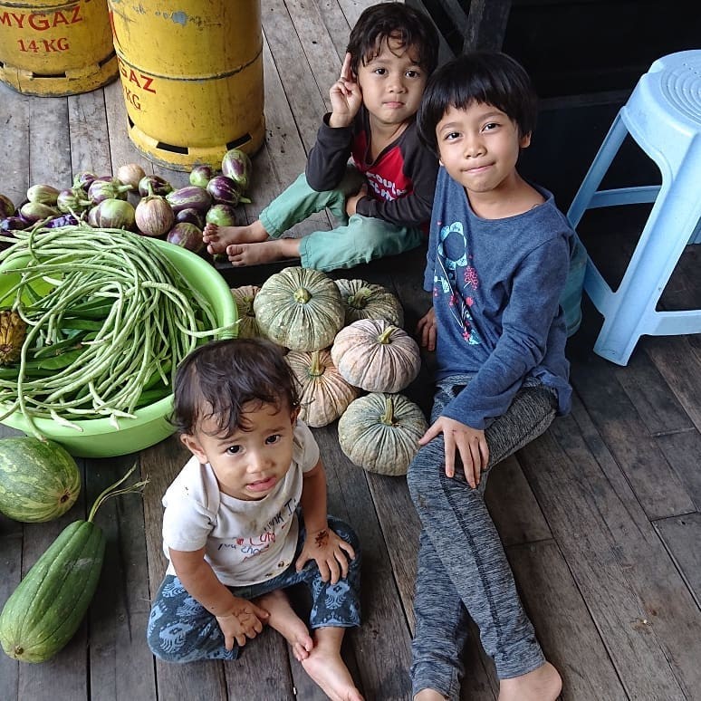 Malaysia Selbstversorgung Permakultur