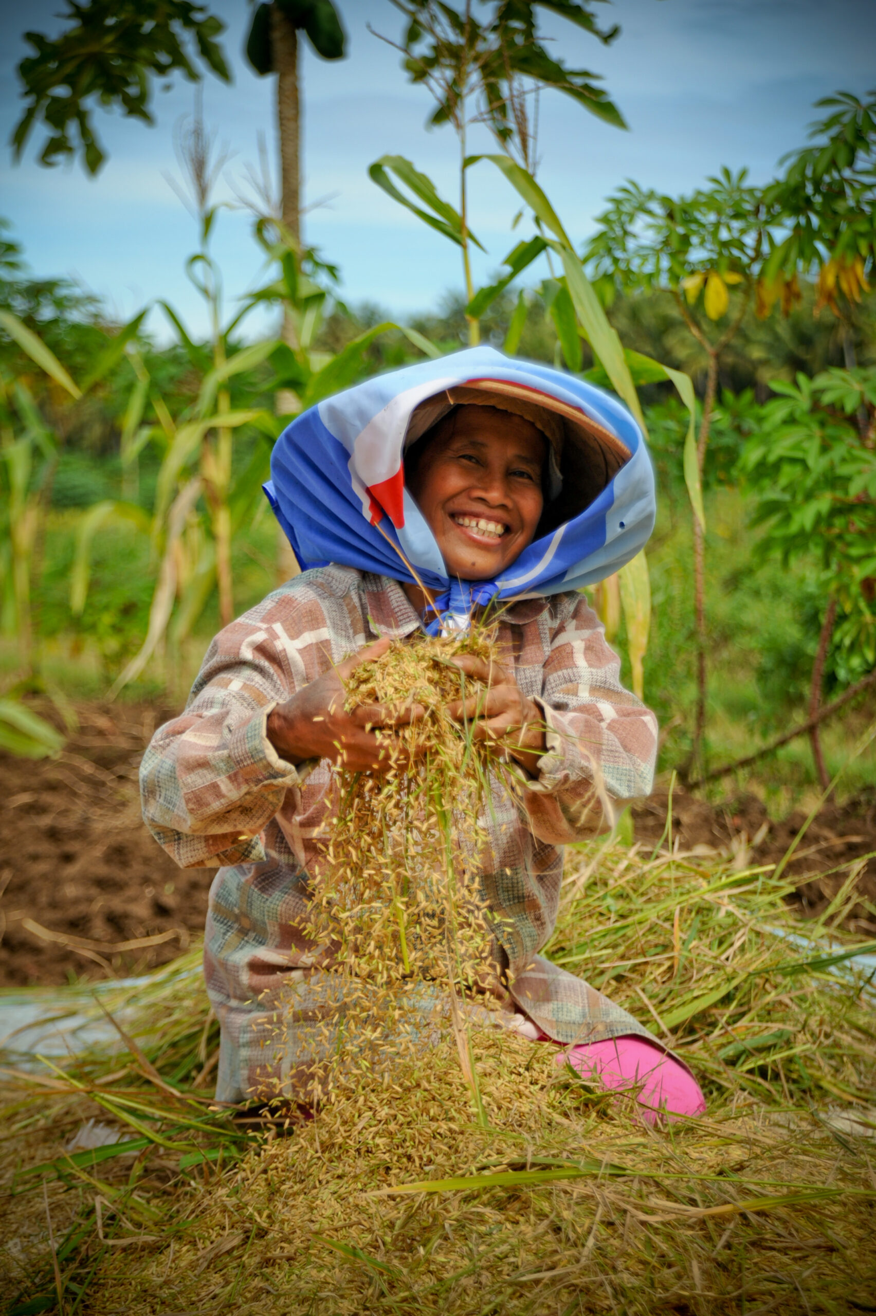 Indonesien Agro-Nationalismus COVID-19