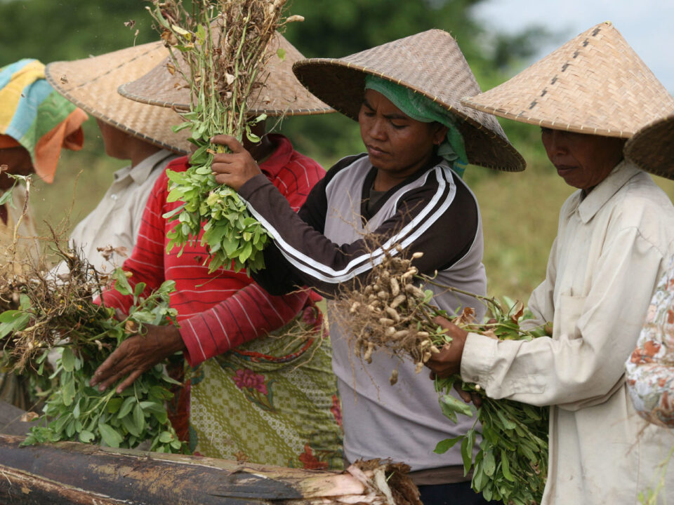 Indonesien Ernährungssicherheit