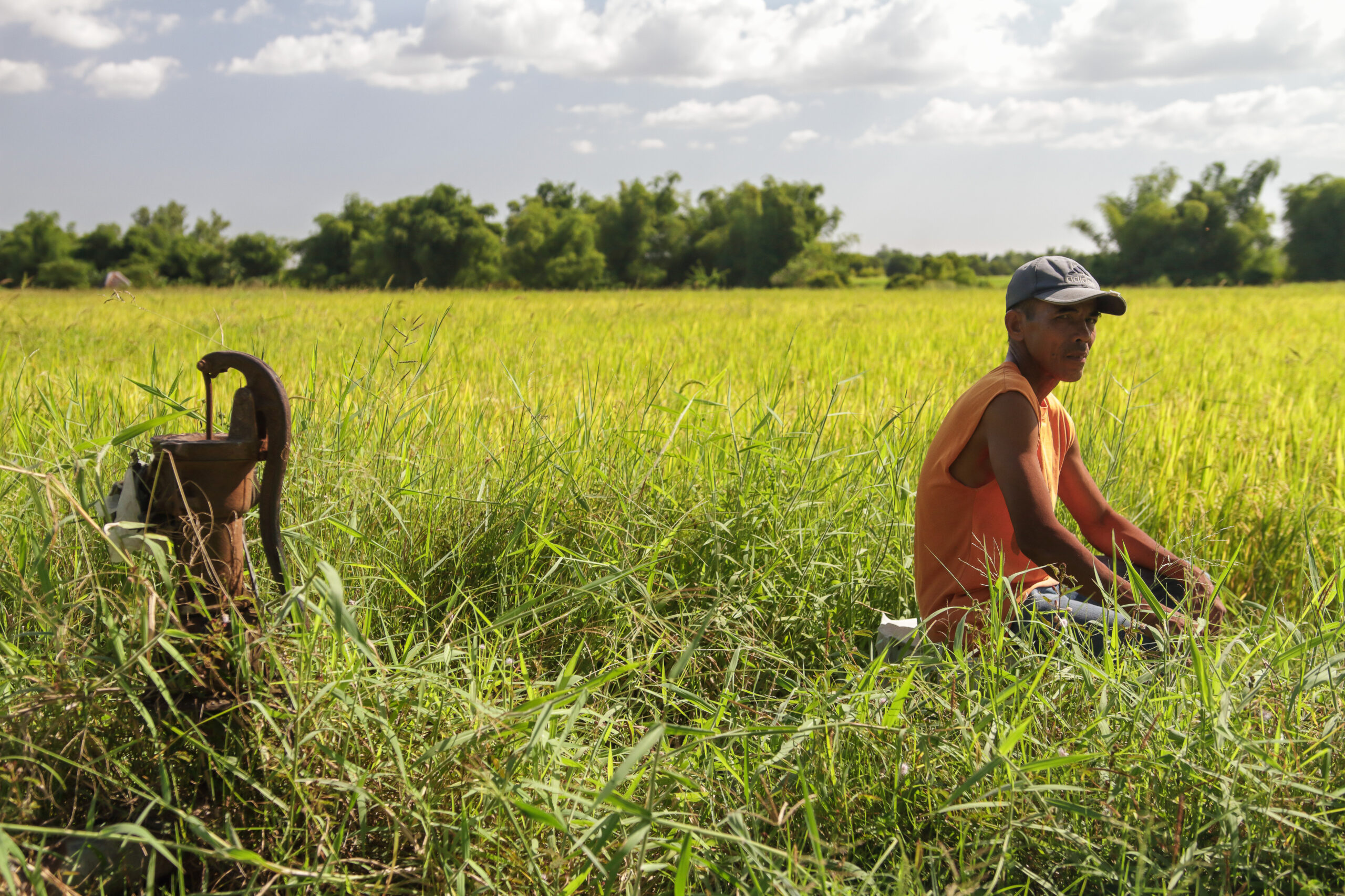 Philippinen Reisanbau Bäuer*innen
