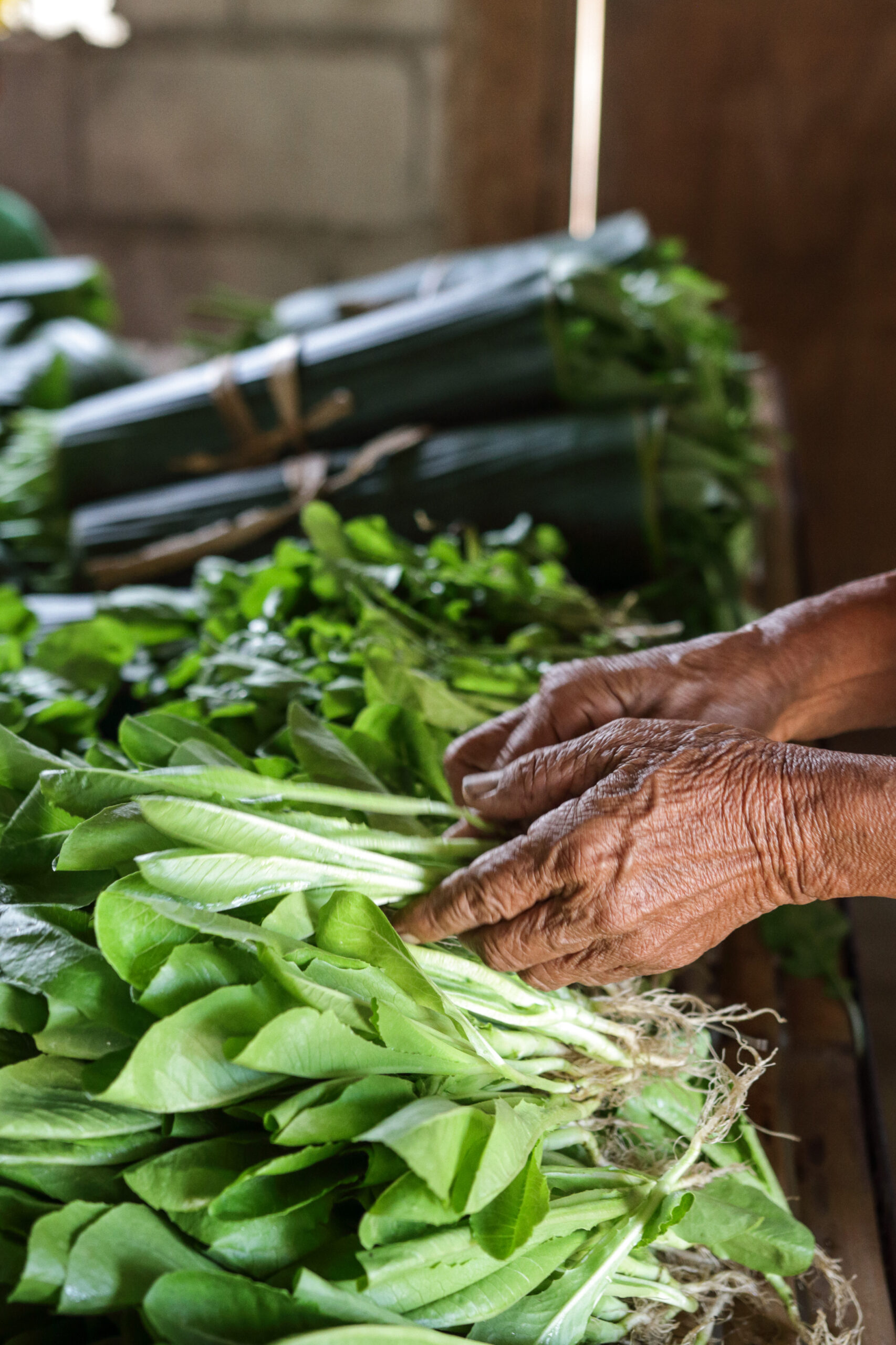 Alex.Salceanu.Philippines.MadebyHand