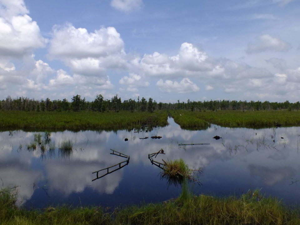 Indonesien Reis Ernährungssicherheit