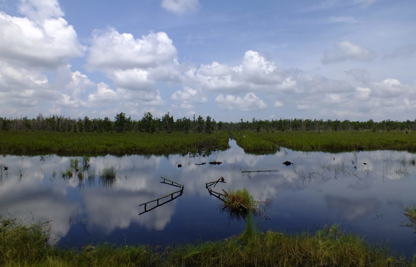 Indonesien Reis Ernährungssicherheit