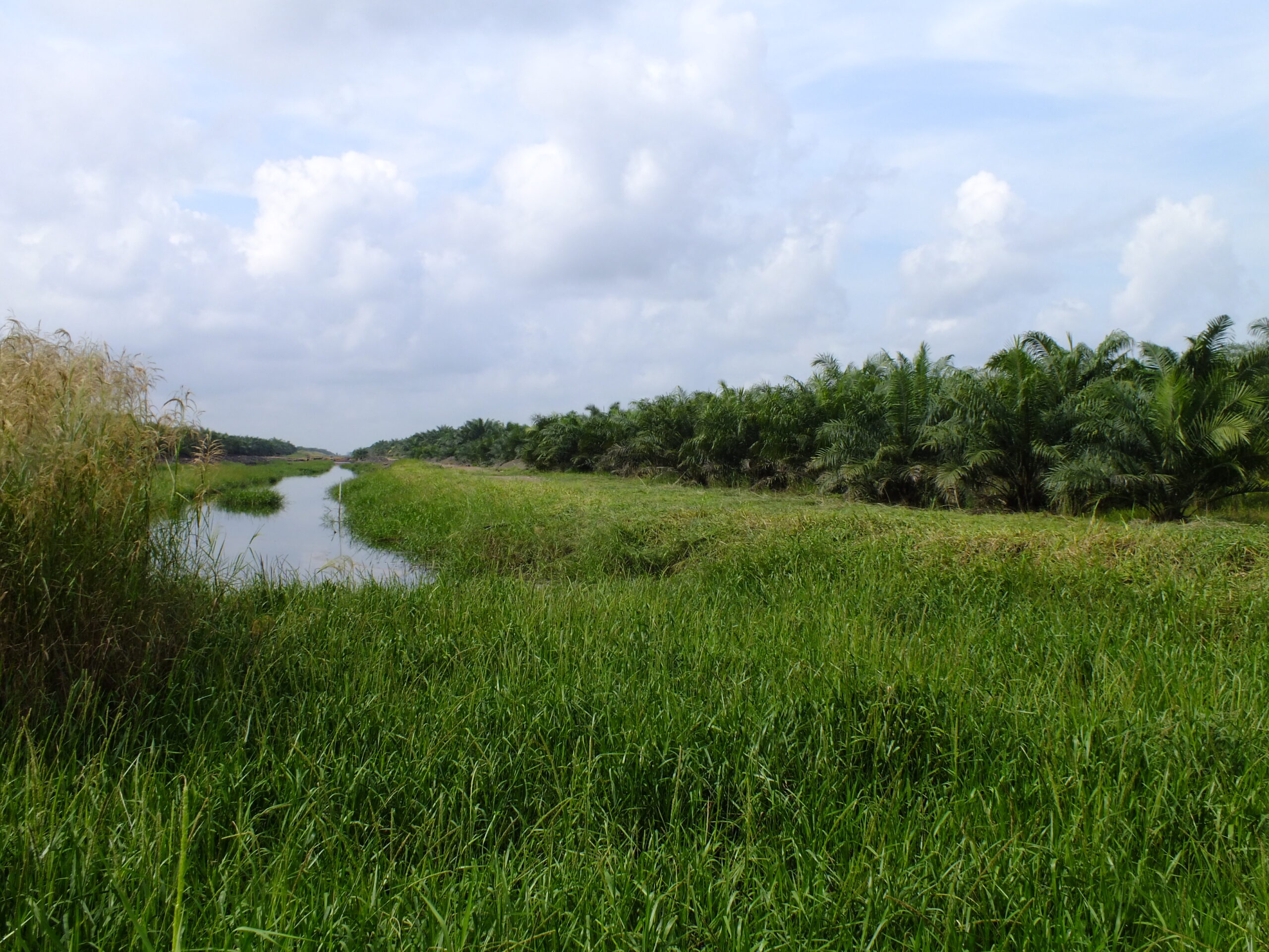 Indonesien Reis Ernährungssicherheit