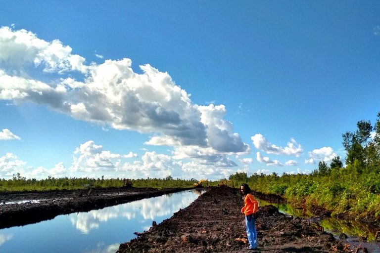 Indonesien Reis Ernährungssicherheit
