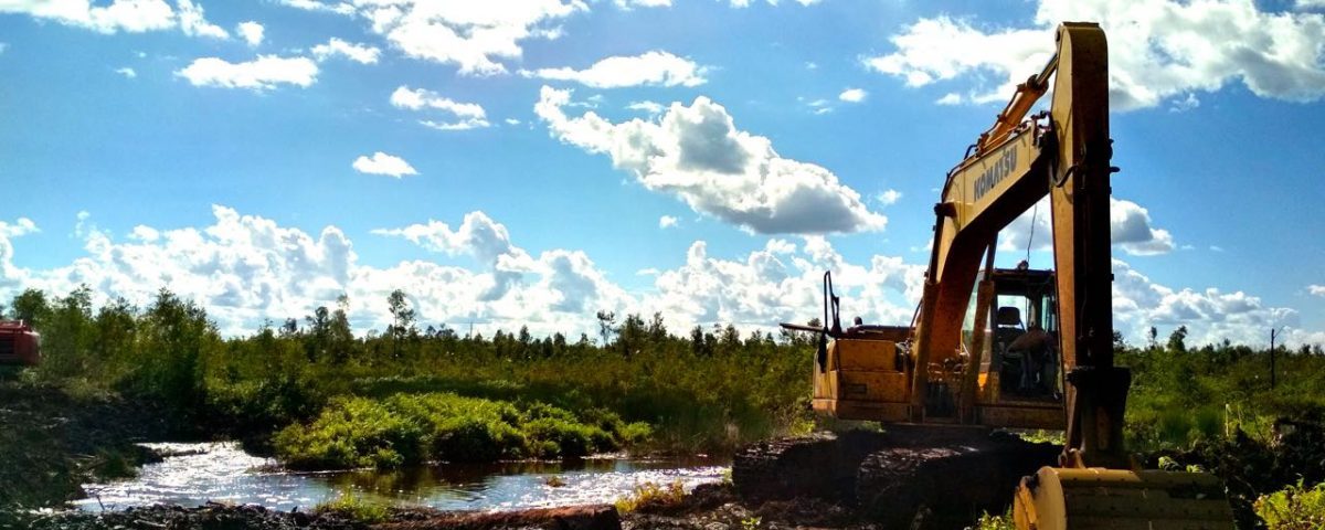 Indonesien Reis Ernährungssicherheit