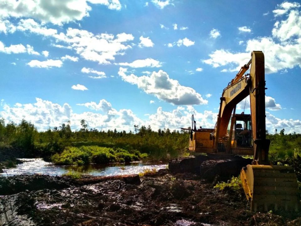Indonesien Reis Ernährungssicherheit