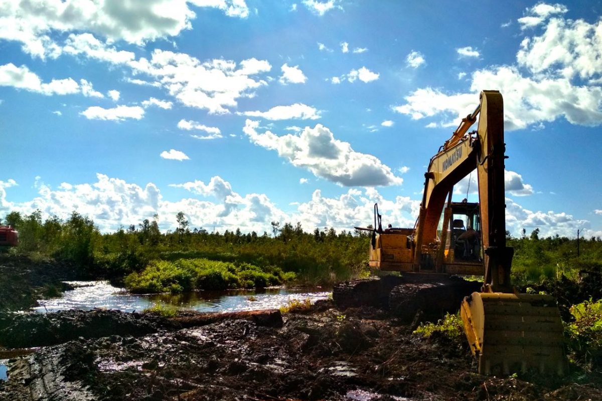 Indonesien Reis Ernährungssicherheit
