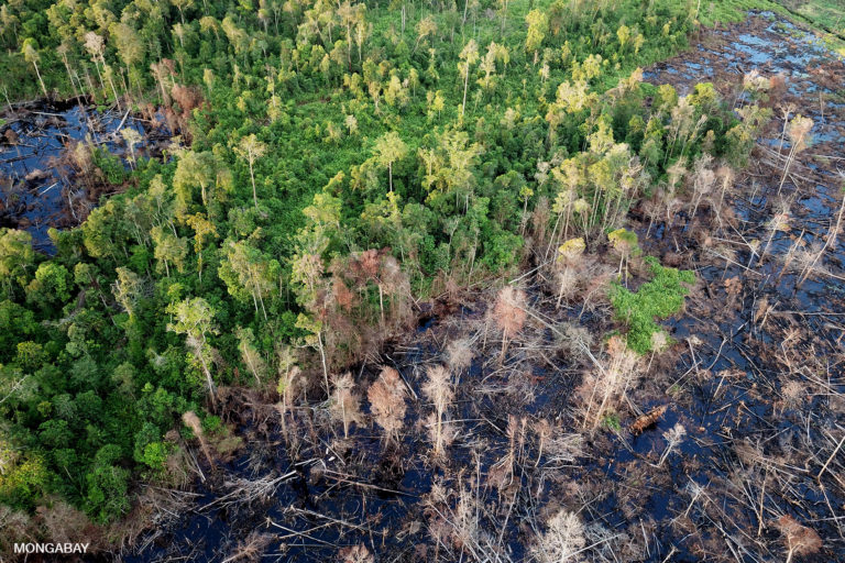 Indonesien Reis Ernährungssicherheit