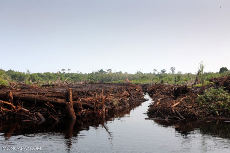 Indonesien Reis Ernährungssicherheit