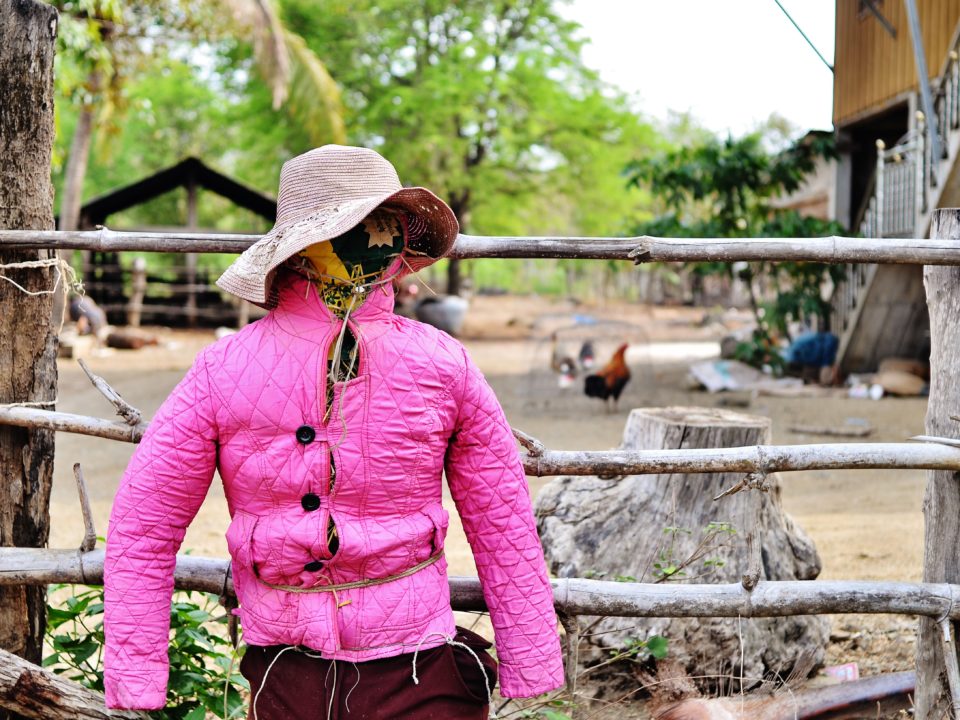 Kambodscha Ting Mong