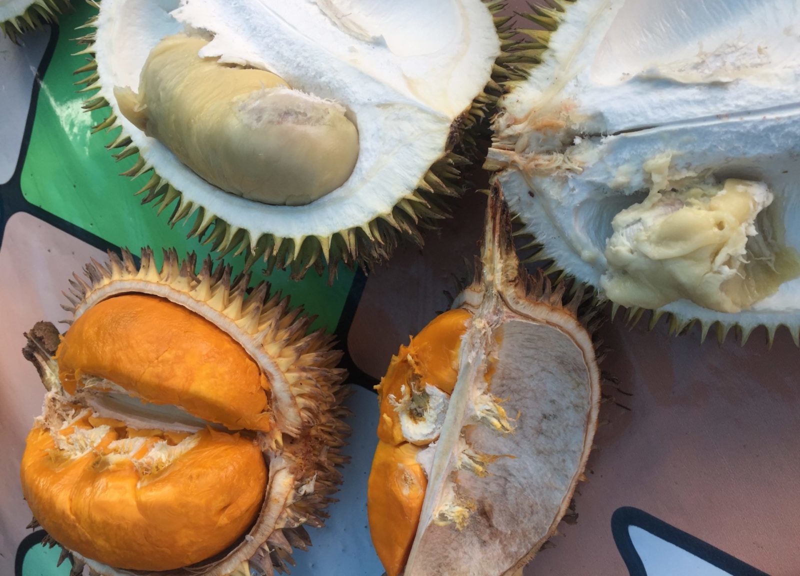 Durian