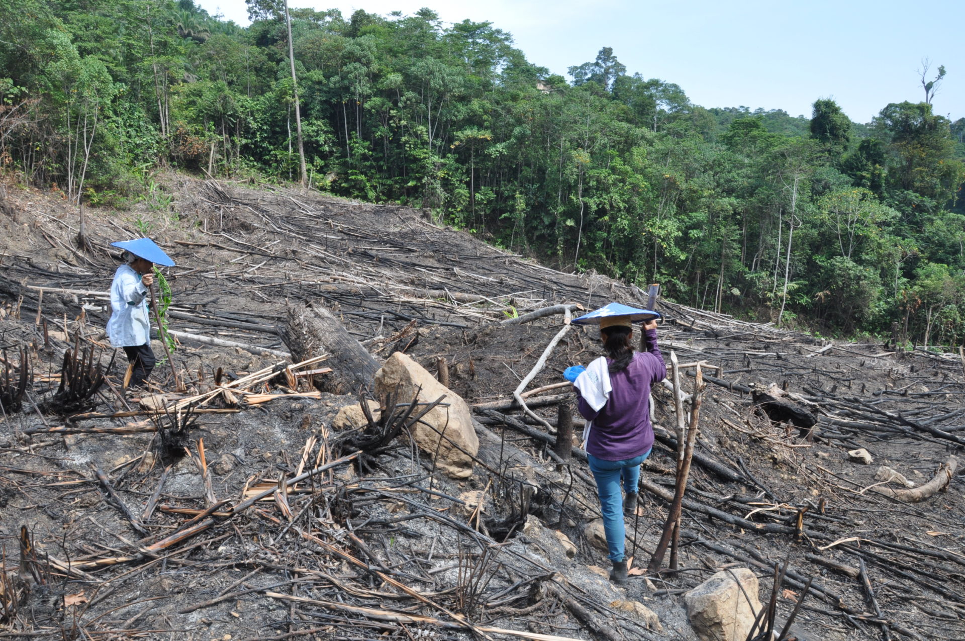 Rassistische Narrative