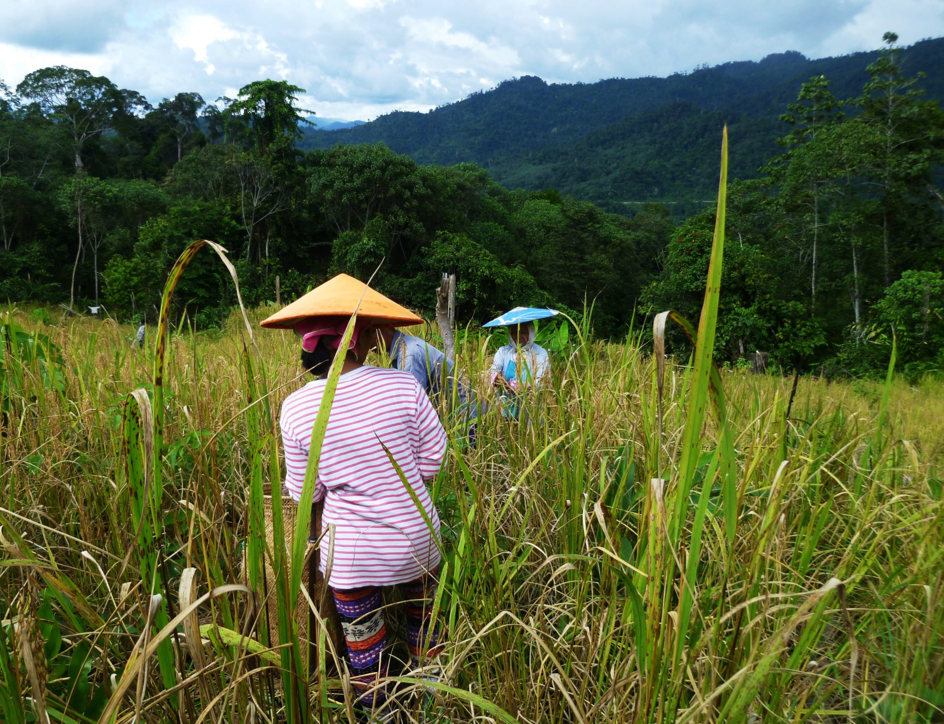 Rassistische Narrative