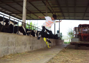 documenta, Baan Noorg Collaborative Arts and Culture, Thailand