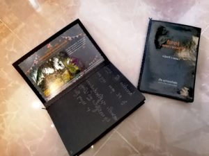 Lina Sokchanlina, documenta, Kollektiv