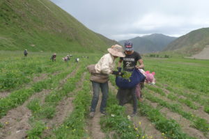 Arahmaiani, Indonesien, Kunst, Umweltschutz