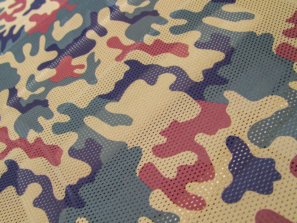 Militär, Südostasien, Regierung