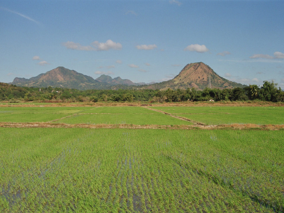 Philippinen, Landwirtschaft, ENtwicklung
