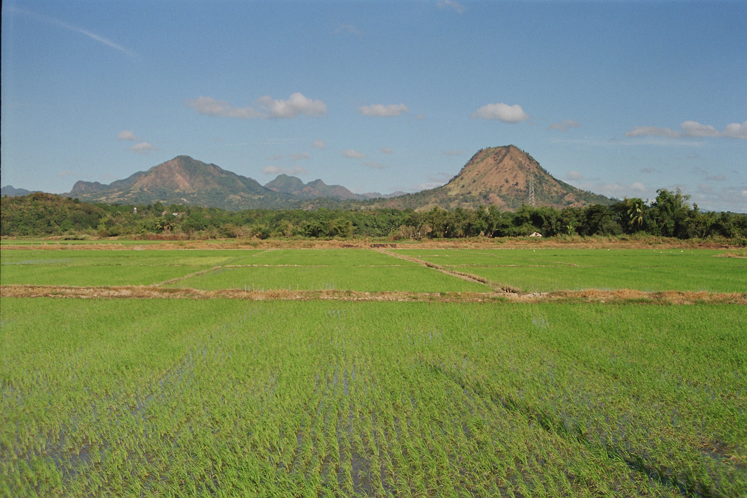 Philippinen, Landwirtschaft, ENtwicklung
