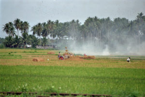 Philippinen, Landwirtschaft, Kleinbauern