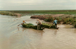 Kambodscha, MFI, Mikrokredit