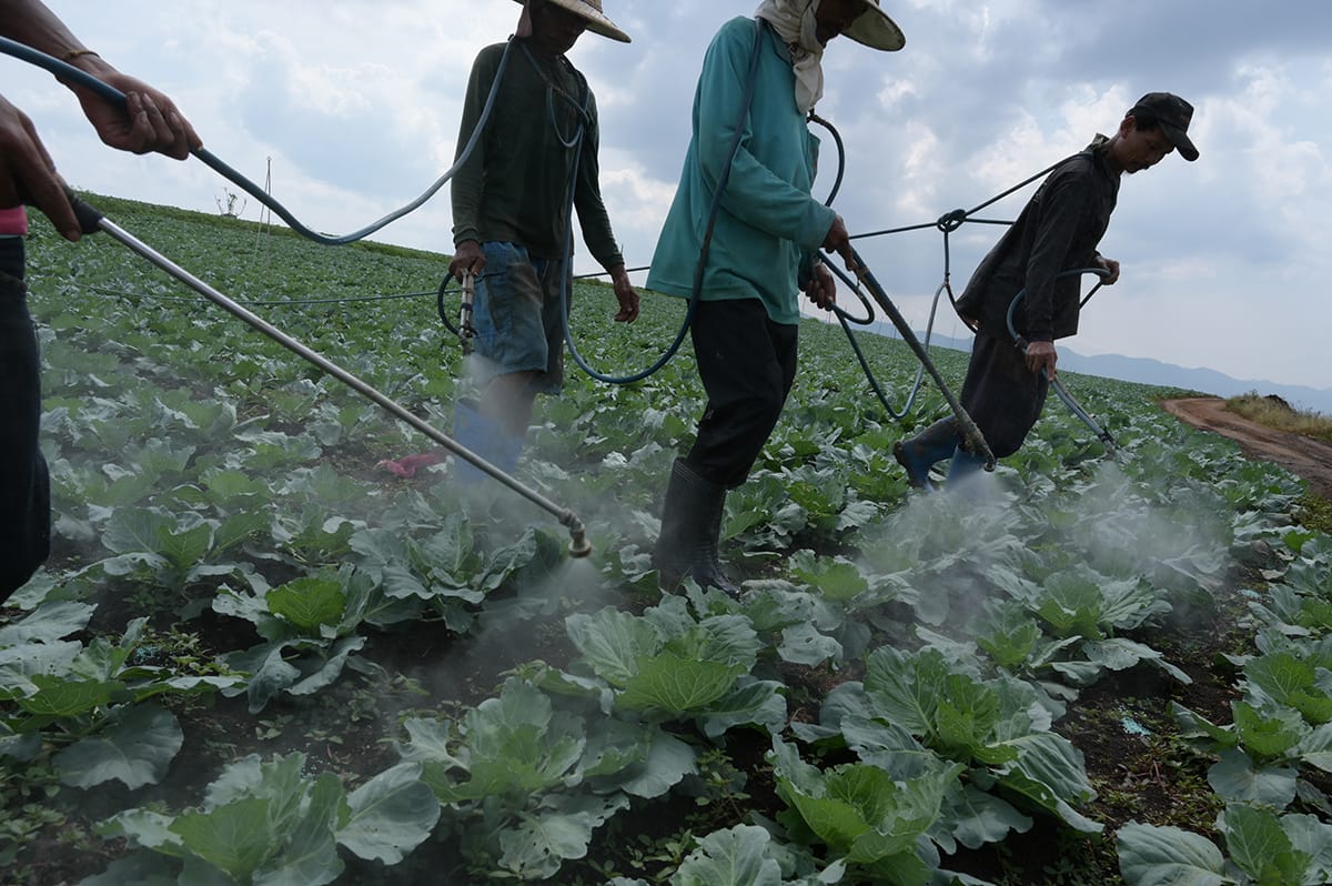 Thailand, Gesundheit, SDG