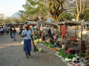 Timor-Leste, ASEAN, Entwicklung