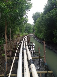 Indonesien, Shrimp-Farm, Umweltschutz